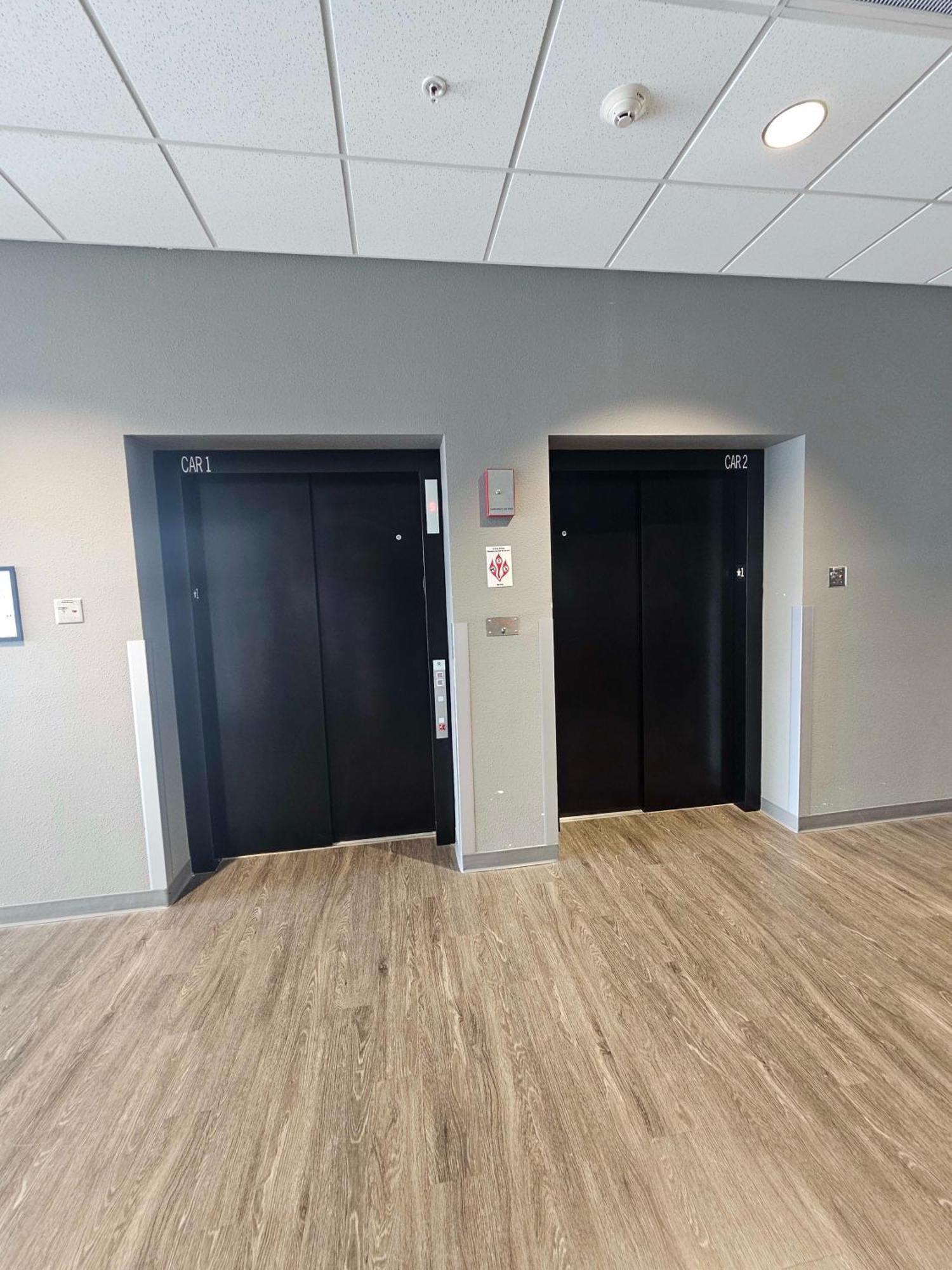 2 Bedroom Brand New Apartment Near Mayo, Park Free Rochester Eksteriør billede